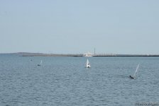 В Баку проходит регата парусных яхт, посвященная 96-й годовщине со дня рождения великого лидера Гейдара Алиева (ФОТОРЕПОРТАЖ)