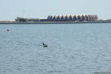 В Баку проходит регата парусных яхт, посвященная 96-й годовщине со дня рождения великого лидера Гейдара Алиева (ФОТОРЕПОРТАЖ)