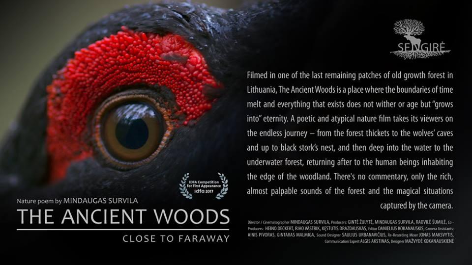 Загадочный мир дикой флоры и фауны в Баку (ВИДЕО, ФОТО)