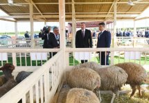 Президент Ильхам Алиев ознакомился с международными выставками WorldFood Azerbaijan и Caspian Agro (ФОТО) (версия 2)