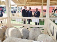 Президент Ильхам Алиев ознакомился с международными выставками WorldFood Azerbaijan и Caspian Agro (ФОТО) (версия 2)