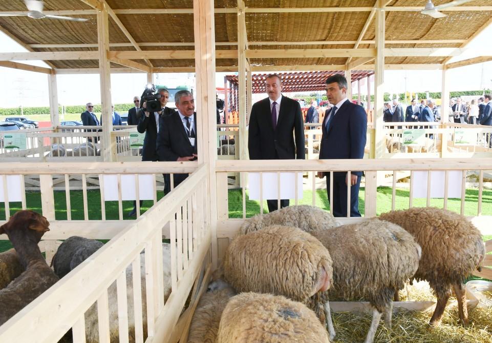 Президент Ильхам Алиев ознакомился с международными выставками WorldFood Azerbaijan и Caspian Agro (ФОТО) (версия 2)