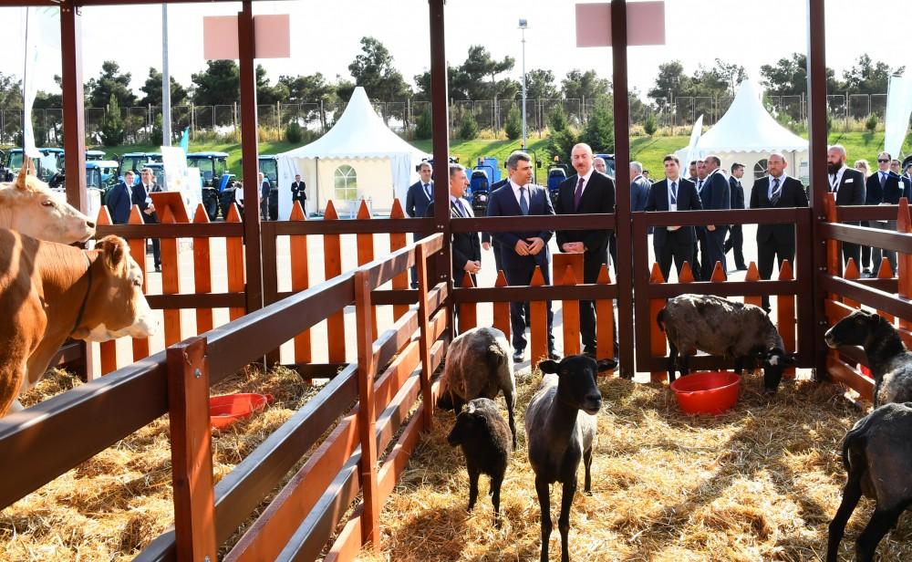 Президент Ильхам Алиев ознакомился с международными выставками WorldFood Azerbaijan и Caspian Agro (ФОТО) (версия 2)