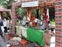 Праздник культуры и искусства в Шамахы (ФОТО)