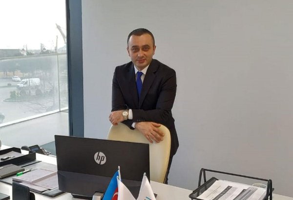 В Азербайджане взят уверенный курс на развитие семенной индустрии (Интервью)