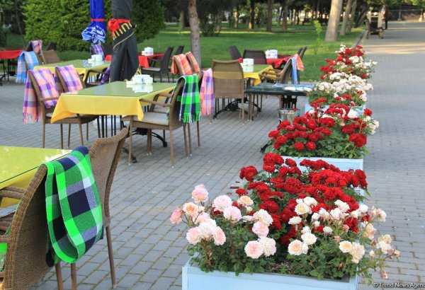 Бакинский бульвар в цветах – наслаждайтесь красотой! (ФОТО)