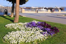 Бакинский бульвар в цветах – наслаждайтесь красотой! (ФОТО)