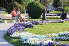 Бакинский бульвар в цветах – наслаждайтесь красотой! (ФОТО)
