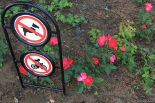 Бакинский бульвар в цветах – наслаждайтесь красотой! (ФОТО)