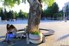 Бакинский бульвар в цветах – наслаждайтесь красотой! (ФОТО)