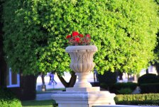 Бакинский бульвар в цветах – наслаждайтесь красотой! (ФОТО)