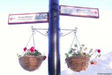 Бакинский бульвар в цветах – наслаждайтесь красотой! (ФОТО)