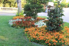 Бакинский бульвар в цветах – наслаждайтесь красотой! (ФОТО)