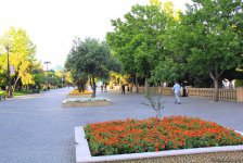 Бакинский бульвар в цветах – наслаждайтесь красотой! (ФОТО)