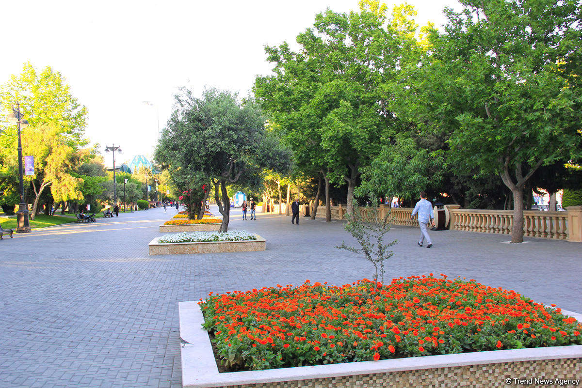 Бакинский бульвар в цветах – наслаждайтесь красотой! (ФОТО)