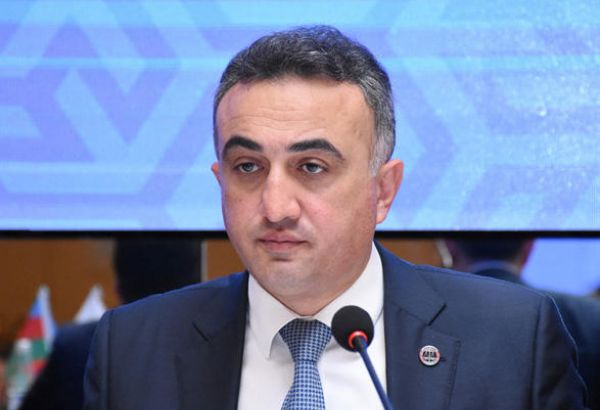 Анар Багиров: Судебный эксперт не сможет задерживать заключение экспертизы