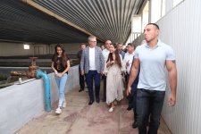 Вице-президент Фонда Гейдара Алиева Лейла Алиева приняла участие в церемонии выпуска в Каспий мальков осетровых, выращенных на Хыллинском заводе по разведению рыбы в Нефтчале (ФОТО)