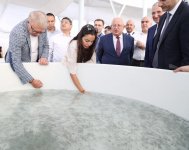 Вице-президент Фонда Гейдара Алиева Лейла Алиева приняла участие в церемонии выпуска в Каспий мальков осетровых, выращенных на Хыллинском заводе по разведению рыбы в Нефтчале (ФОТО)
