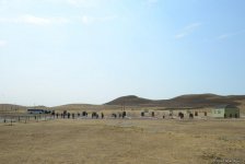 Руководство минобороны Азербайджана приняло участие в открытии нового образовательного центра (ФОТО)