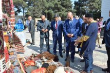 Культурное многообразие регионов Азербайджана (ФОТО)