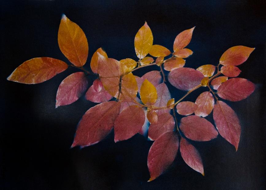 Фантазии Махмуда Рустамова из неопубликованного (ФОТО)