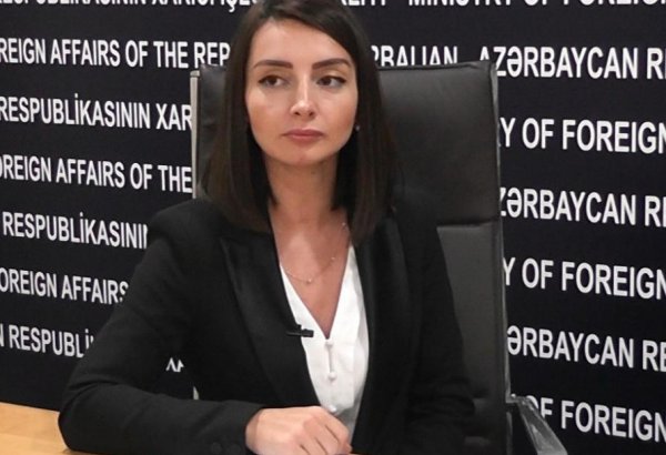 Лейла Абдуллаева: Единственный путь решения конфликта - устранение фактора оккупации