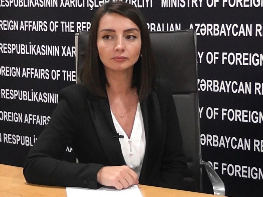 Лейла Абдуллаева: Позиция Азербайджана в вопросе Джамму и Кашмира носит последовательный характер