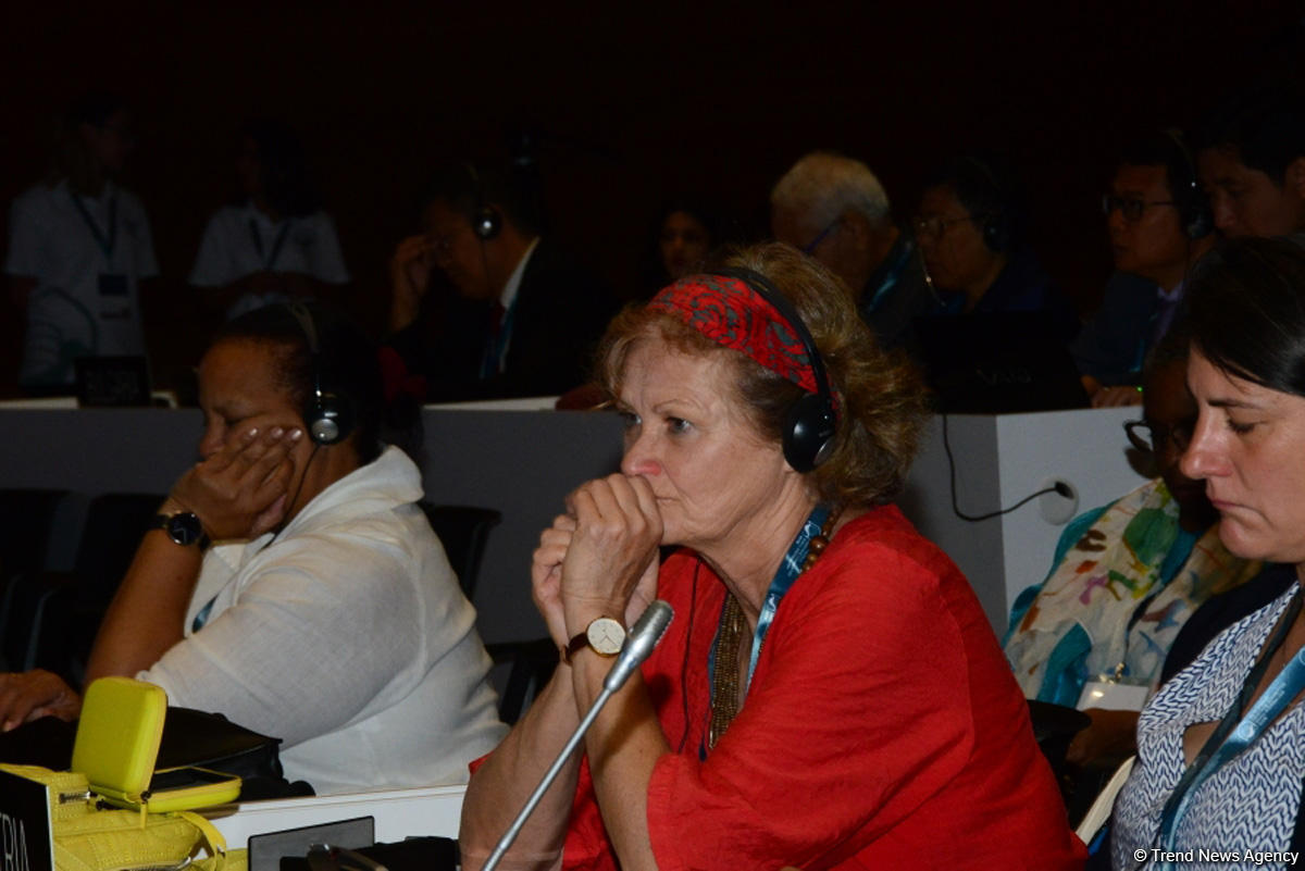 Сессия ЮНЕСКО в Баку обсудила отчет по усилению диалога (ФОТО)