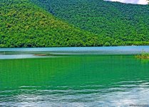 Одно из красивейших озер Азербайджана – Нохур в предгорье Большого Кавказа (ФОТО)