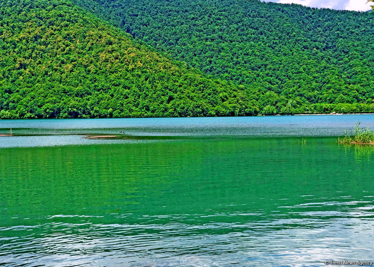 Одно из красивейших озер Азербайджана – Нохур в предгорье Большого Кавказа (ФОТО)