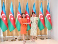 Первый вице-президент Азербайджана Мехрибан Алиева встретилась с послом Франции, ответственным за международные переговоры по вопросам Арктики и Антарктики (ФОТО) 
(версия 2)