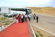 Азербайджанец в Туркменистане – Древняя Ниса, Ахалтекинские красавцы, удивительные экспонаты (ФОТО)