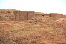 Азербайджанец в Туркменистане – Древняя Ниса, Ахалтекинские красавцы, удивительные экспонаты (ФОТО)