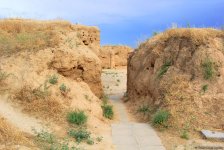 Азербайджанец в Туркменистане – Древняя Ниса, Ахалтекинские красавцы, удивительные экспонаты (ФОТО)