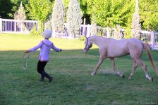 Азербайджанец в Туркменистане – Древняя Ниса, Ахалтекинские красавцы, удивительные экспонаты (ФОТО)