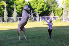 Азербайджанец в Туркменистане – Древняя Ниса, Ахалтекинские красавцы, удивительные экспонаты (ФОТО)