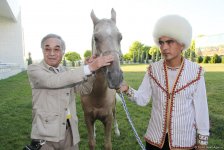 Азербайджанец в Туркменистане – Древняя Ниса, Ахалтекинские красавцы, удивительные экспонаты (ФОТО)