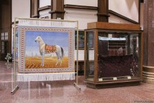 Азербайджанец в Туркменистане – Древняя Ниса, Ахалтекинские красавцы, удивительные экспонаты (ФОТО)