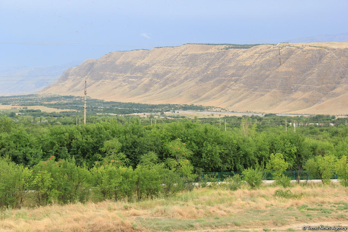 Азербайджанец в Туркменистане – Древняя Ниса, Ахалтекинские красавцы, удивительные экспонаты (ФОТО)