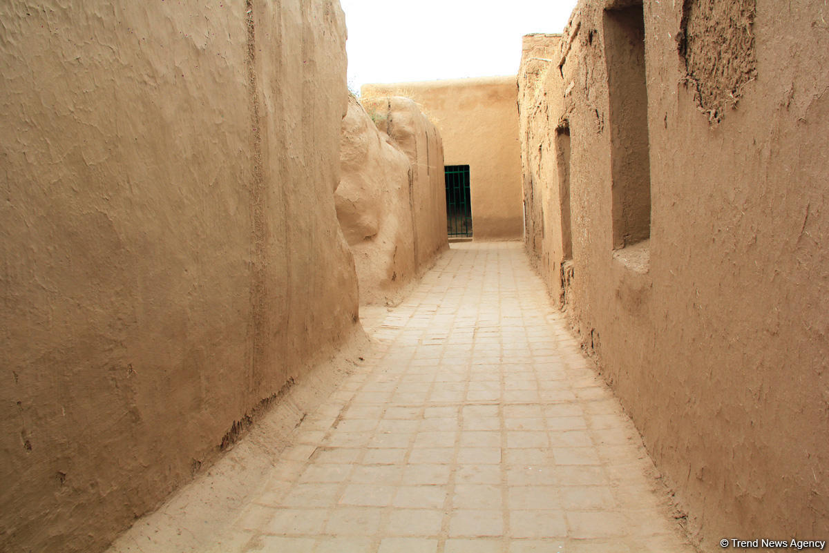 Азербайджанец в Туркменистане – Древняя Ниса, Ахалтекинские красавцы, удивительные экспонаты (ФОТО)