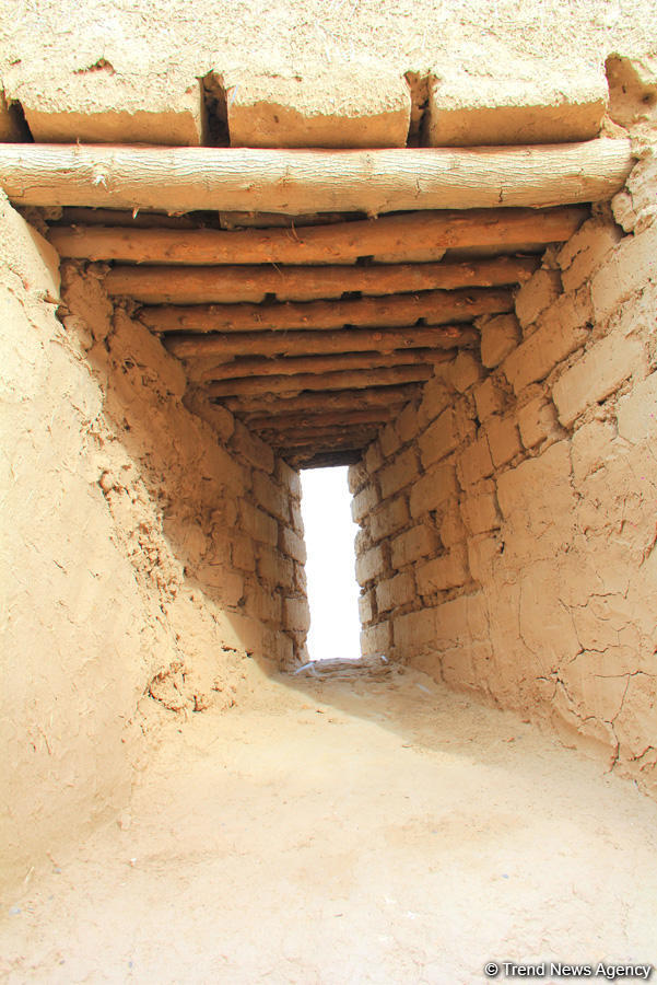 Азербайджанец в Туркменистане – Древняя Ниса, Ахалтекинские красавцы, удивительные экспонаты (ФОТО)