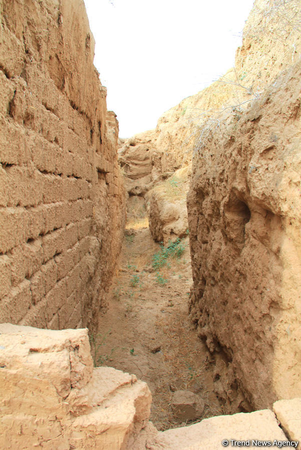 Азербайджанец в Туркменистане – Древняя Ниса, Ахалтекинские красавцы, удивительные экспонаты (ФОТО)