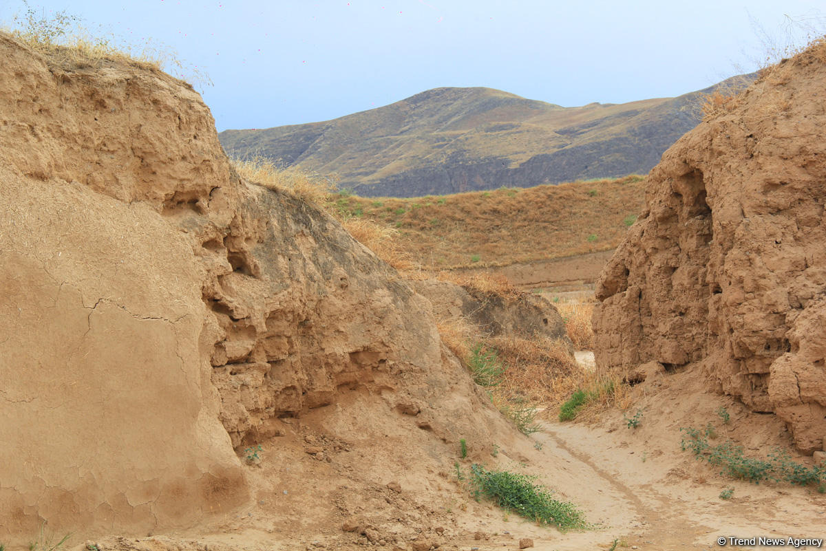 Азербайджанец в Туркменистане – Древняя Ниса, Ахалтекинские красавцы, удивительные экспонаты (ФОТО)