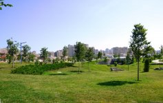 Еще один облик Баку - Центральный парк(ФОТО)