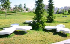 Еще один облик Баку - Центральный парк(ФОТО)