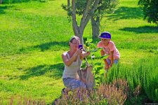 Еще один облик Баку - Центральный парк(ФОТО)