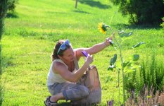 Еще один облик Баку - Центральный парк(ФОТО)