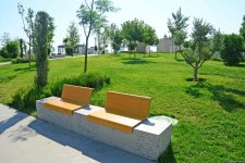 Еще один облик Баку - Центральный парк(ФОТО)