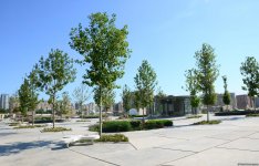 Еще один облик Баку - Центральный парк(ФОТО)