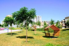 Еще один облик Баку - Центральный парк(ФОТО)